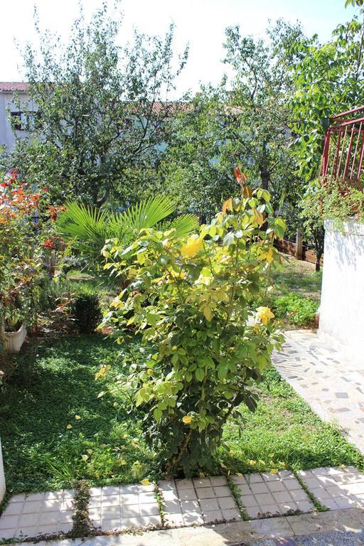 Pet Friendly Apartment In Porec With Wifi Rum bild